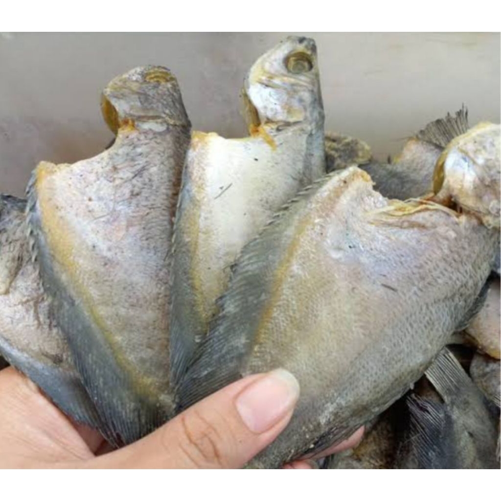 

ikan asin sepat 500gram bppn