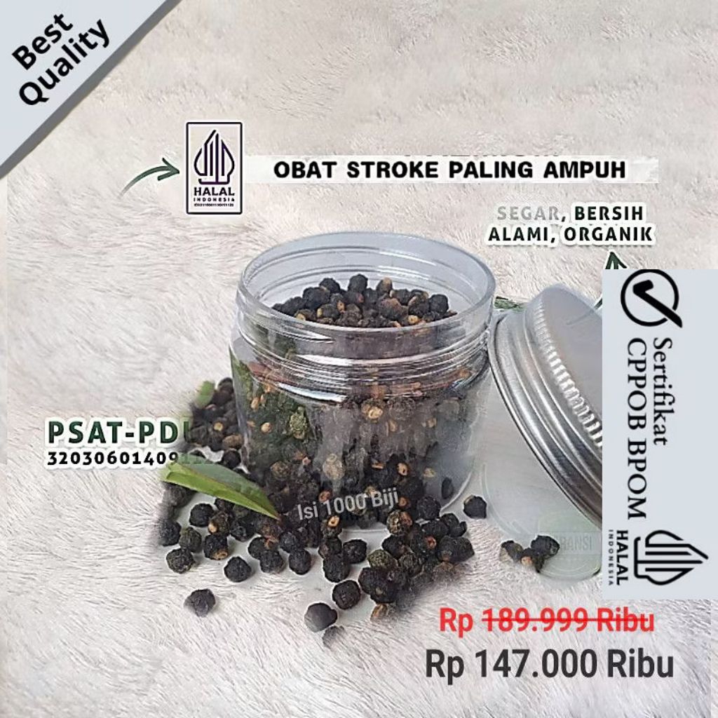 

Buah Angkung Kering Obat Stroke Ampuh Isi 1000 Biji Premium