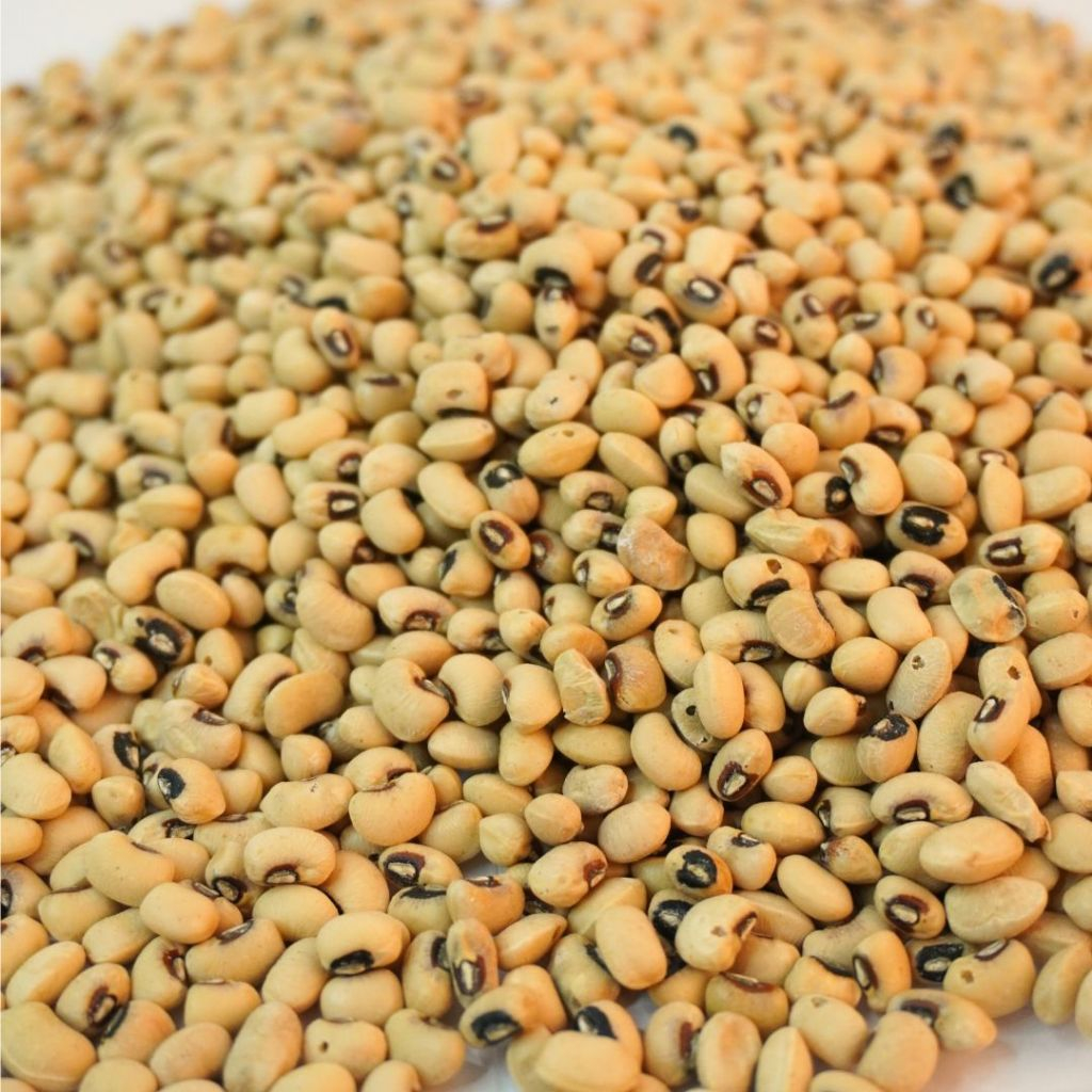 

Kacang Tunggak Putih Mentah – Kaya Nutrisi & Siap Diolah