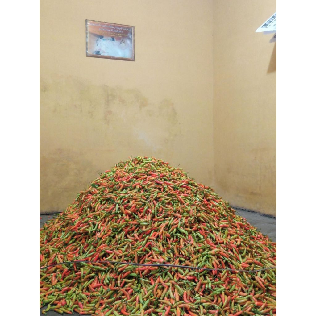

cabairawit1kg38000