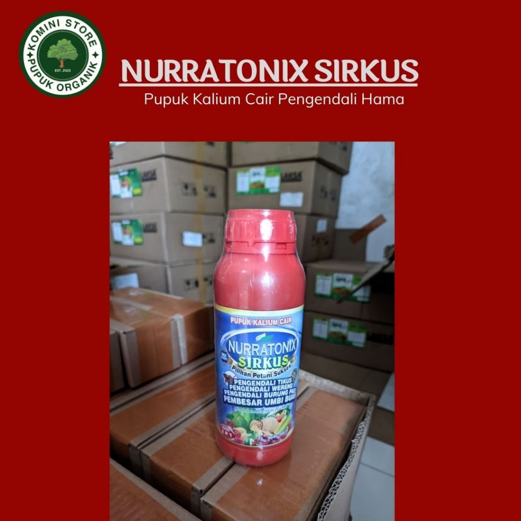Adelonz Obat Racun Tikus Sawah Paling Ampuh Obat Hama Tikus Padi & Pupuk Tanaman - Nurratonix Sirkus