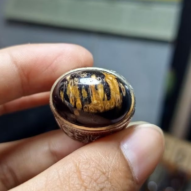 Cincin Batu Fosil Kelor Lapadz