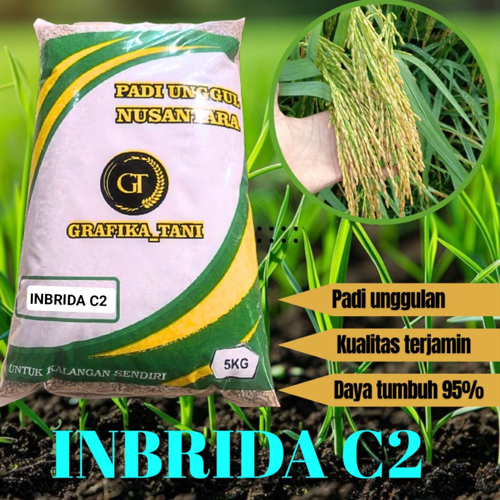 BENIH PADI UNGGUL PREMIUM INBRIDA C2