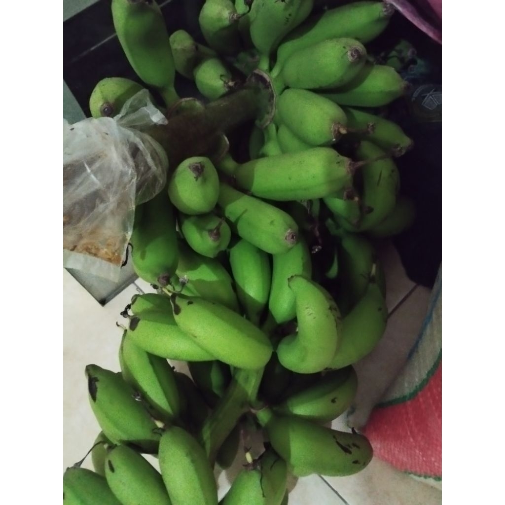 

pisang bangka