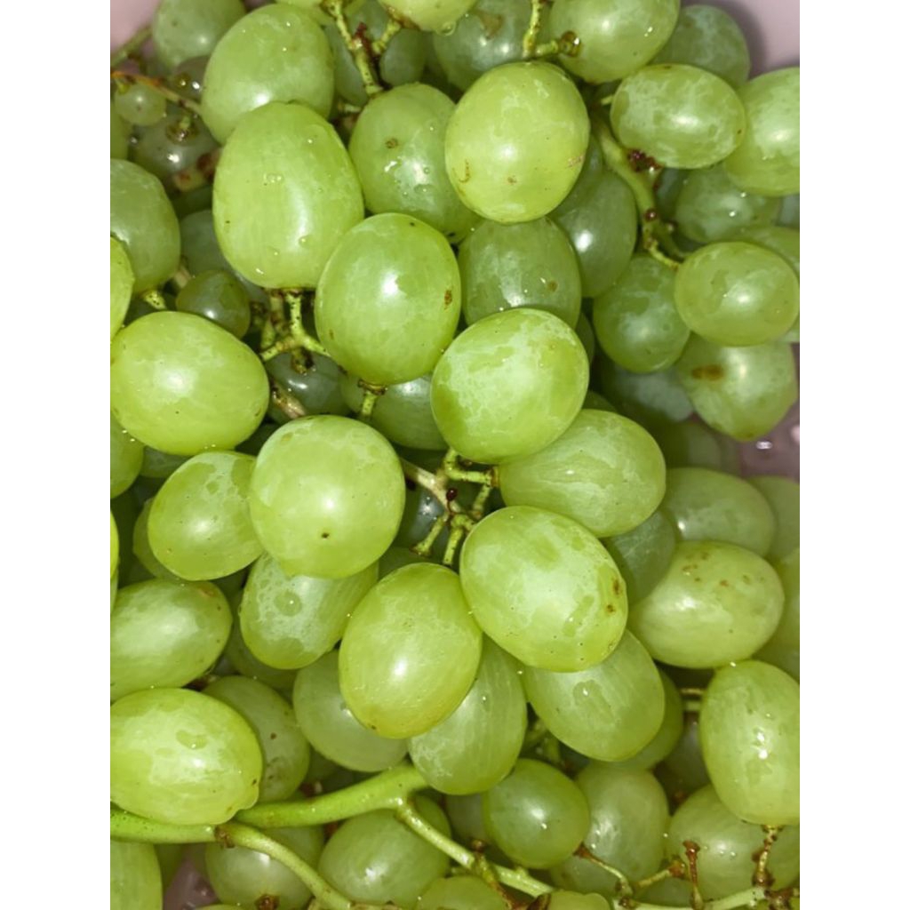 

anggur hijo segar 500gr