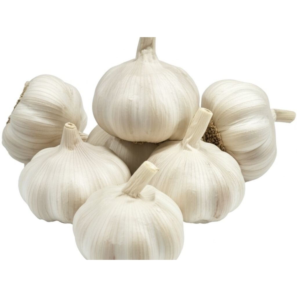 

Bawang Putih kating bumbu memasak ready