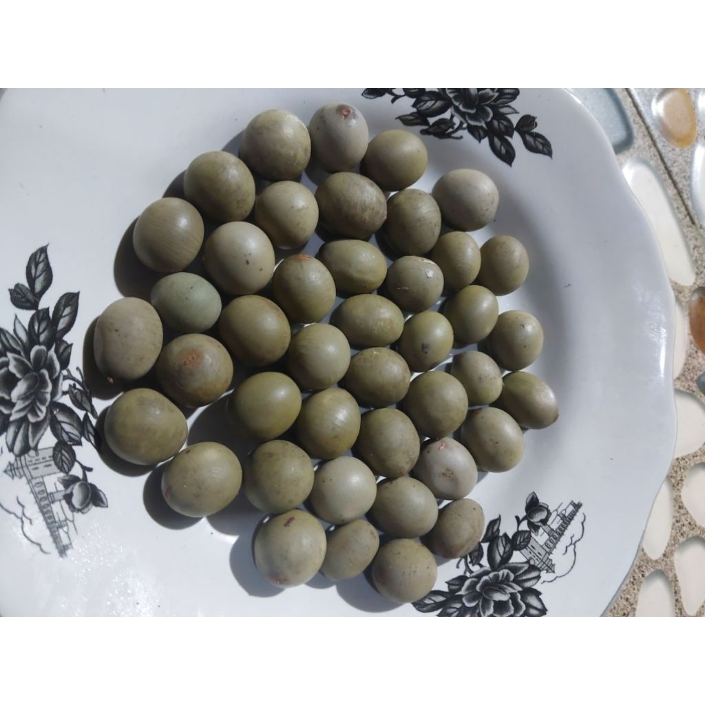 

buah kebiul/gorek/kalaloyang 1kg