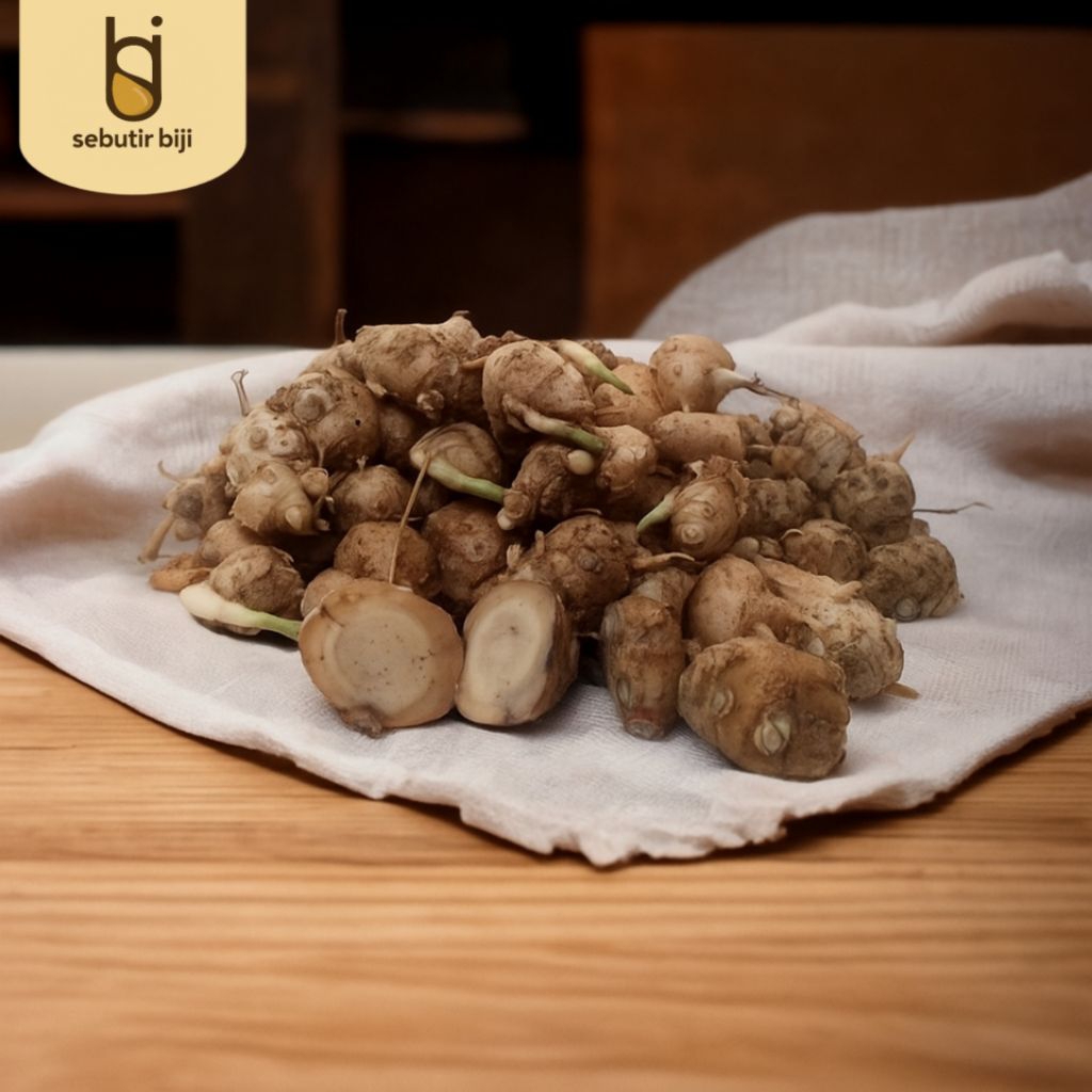 

kencur fresh 500 gr bibit cikur rimpang