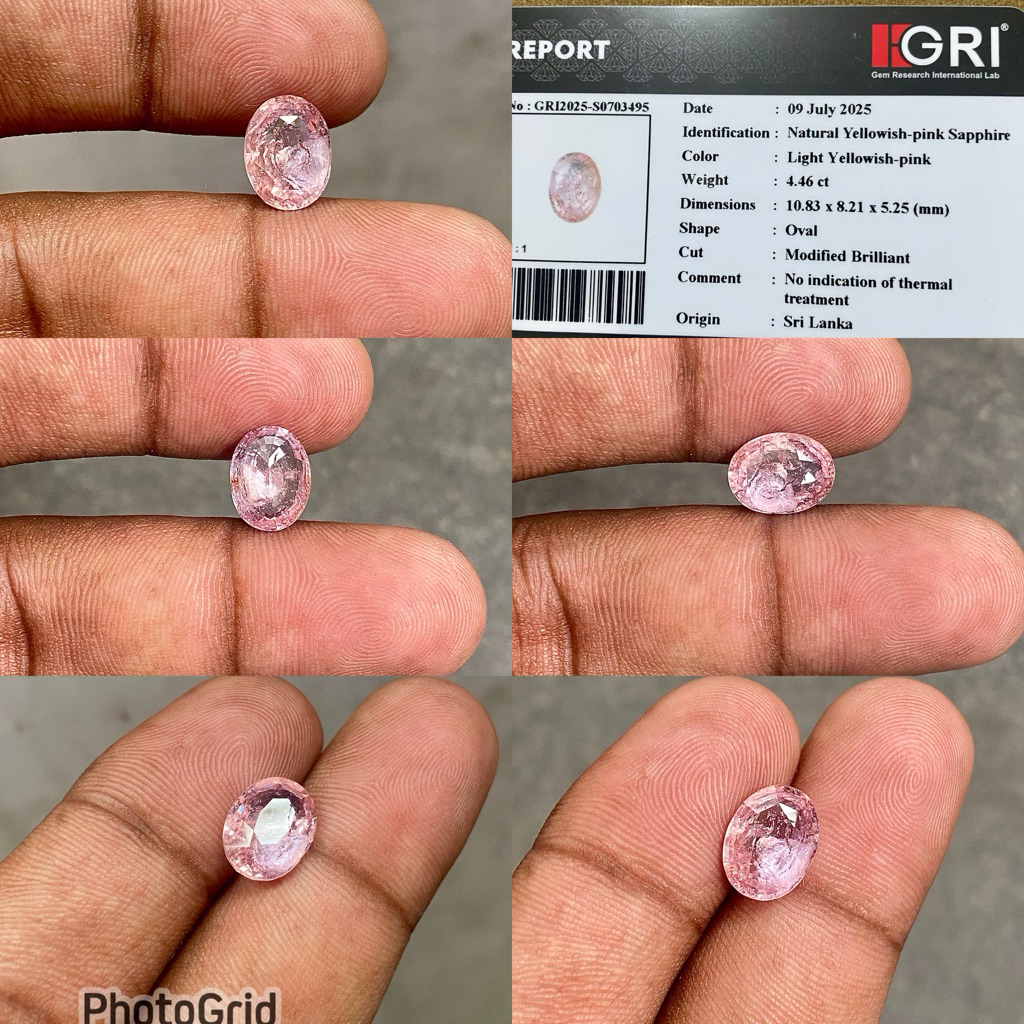 Natural Yellowish Pink Sapphire Ceylon srilanka Batu yellow pink safir selon srilangka Memo GRI No H