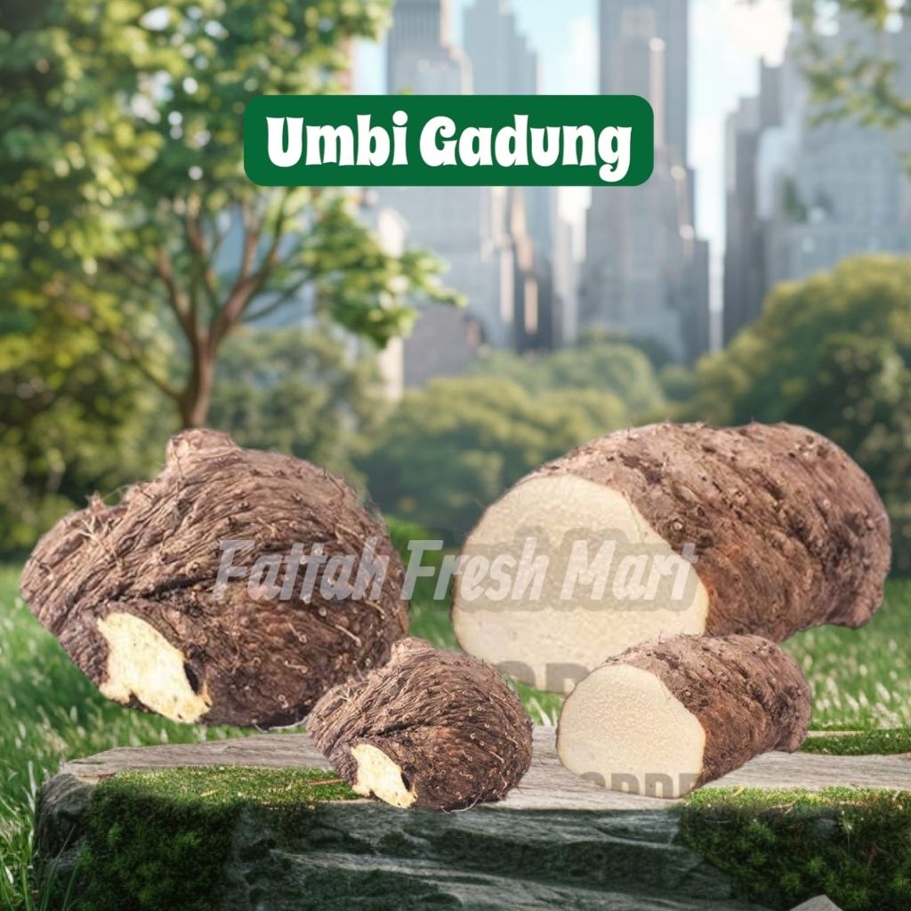 

Umbi Gadung segar per 1kg