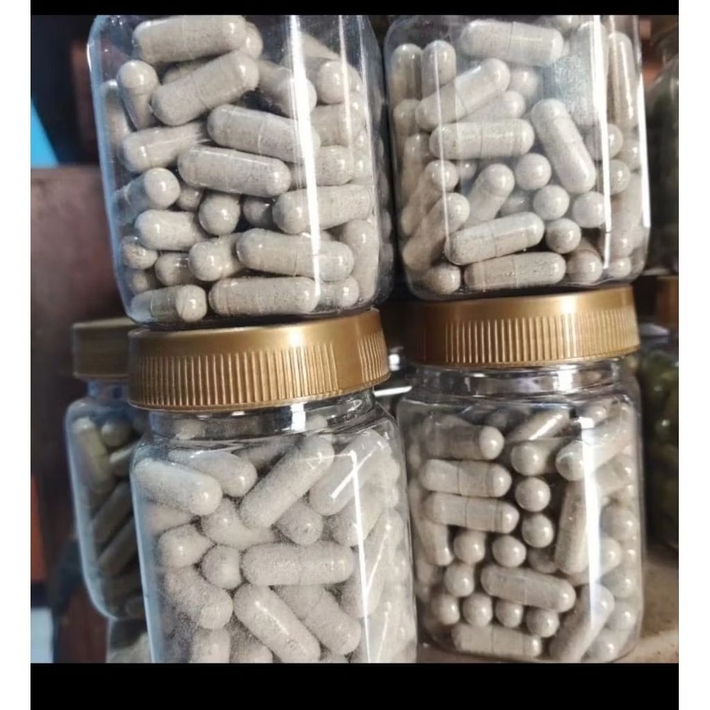 Kapsul bekicot/keong mas/keong sawah 100 kapsul