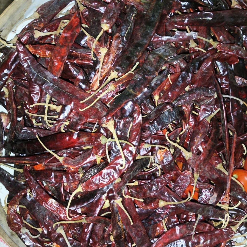 

Cabe Besar Kering 500 gr - 1 kg - 2 kg