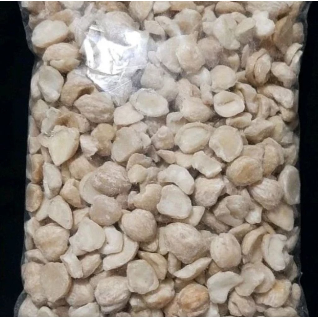 

Kemiri Pecah Berkualitas | Kemasan 500g ~ 1kg