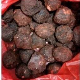 

3 PCS GETAH GAMBIR MAHA BUNGA MEDAN