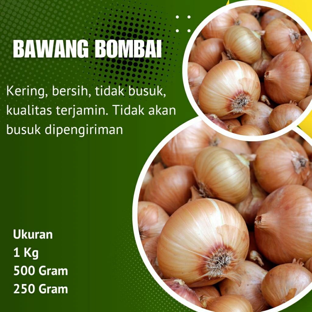 

BAWANG BOMBAI, BERSIH, KERING, TIDAK BUSUK