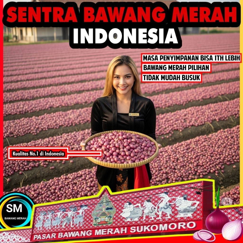 

BAWANG MERAH MURAH BERKUALITAS 1KG