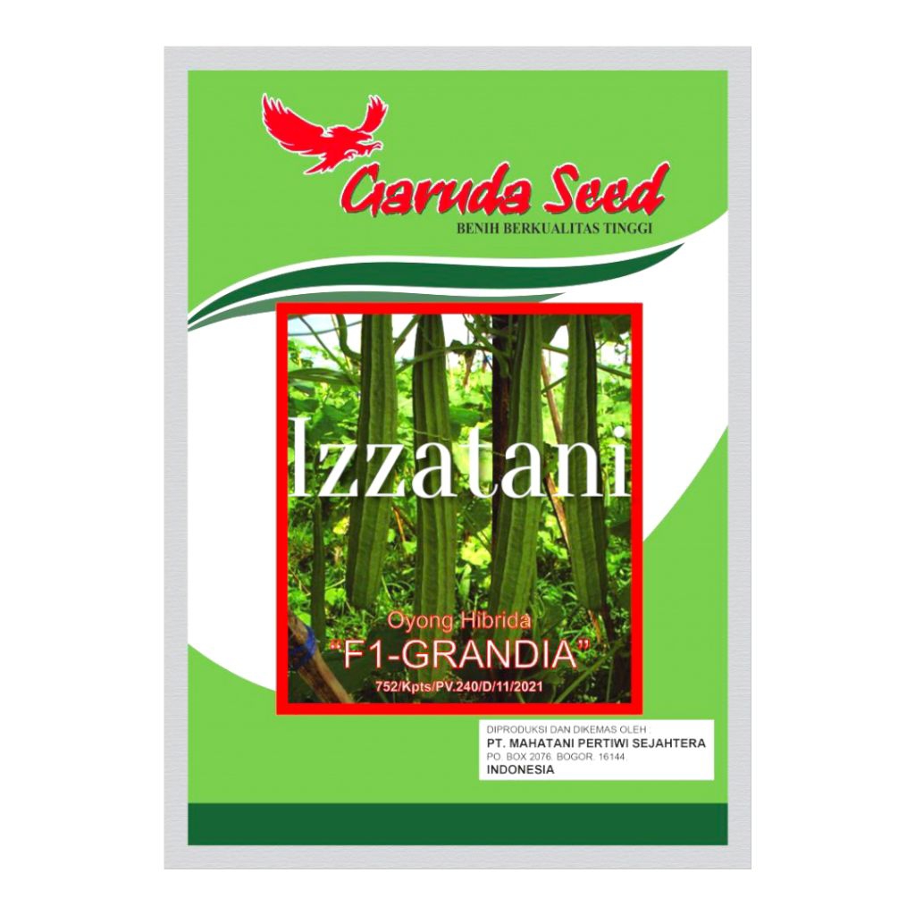 Benih Oyong Grandia Isi Sekitar 65 Biji Benih Gambas Bibit Oyong Gambas Benih Oyong Panjang