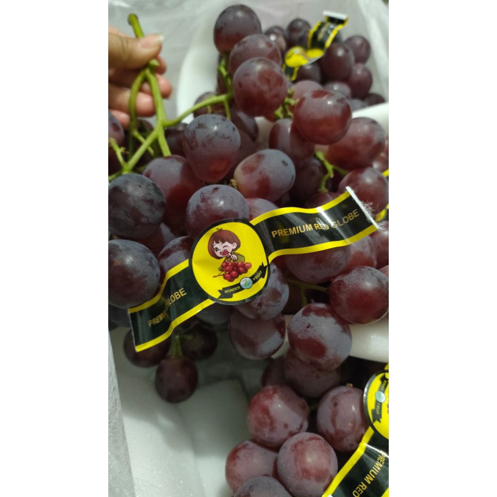 

Anggur import grade A