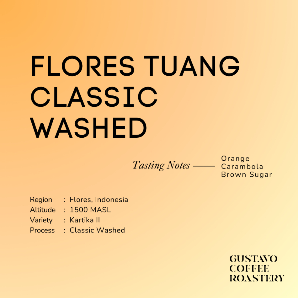 

Biji Kopi Arabika FLORES TUANG CLASSIC WASHED Single Origin Gustavo