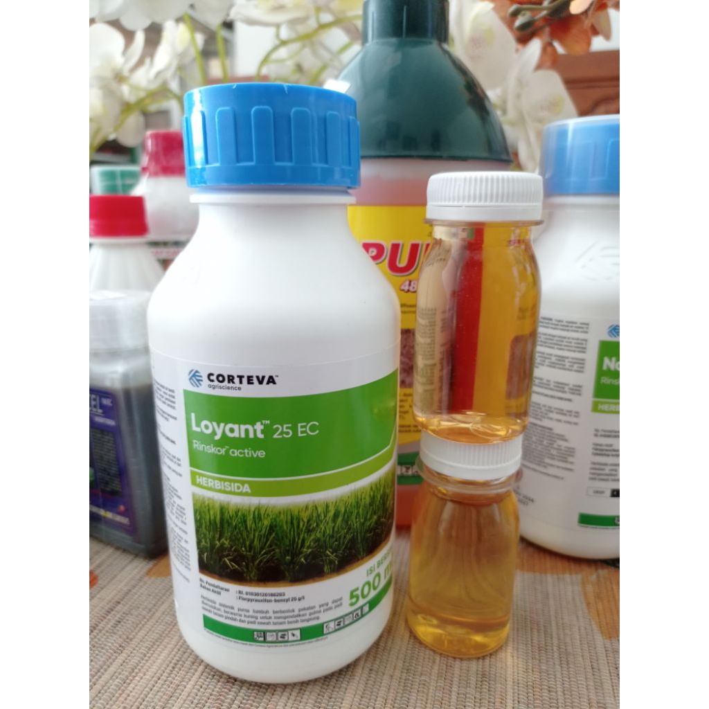 Loyant 25 ec 500 ml
