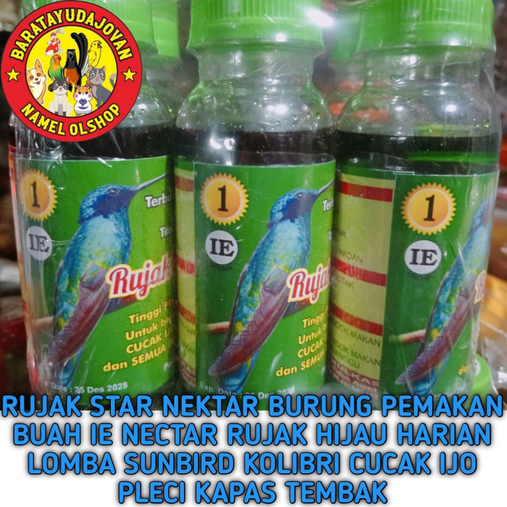 RUJAK STAR NEKTAR BURUNG PEMAKAN BUAH IE NECTAR RUJAK HIJAU HARIAN LOMBA SUNBIRD KOLIBRI CUCAK IJO P