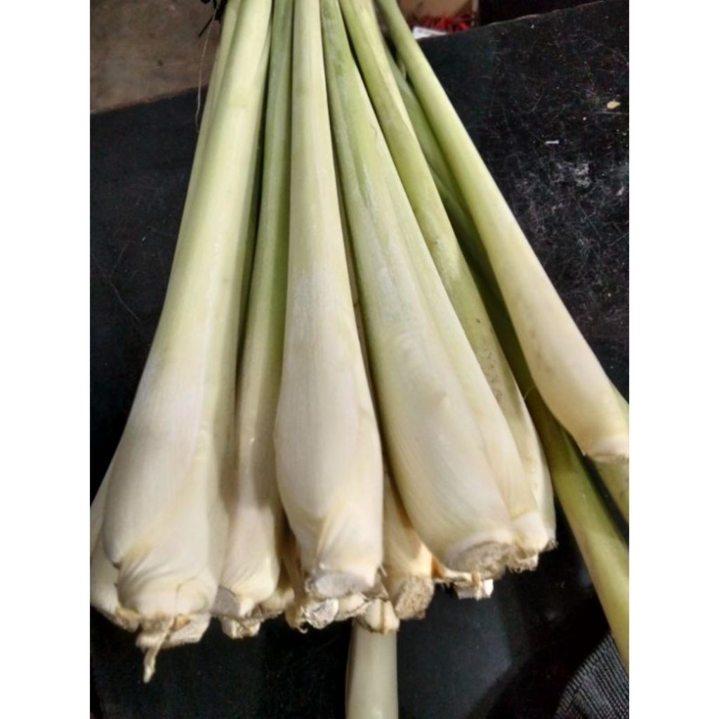 

serai jumbo/Fress ambil dadakan bila ada yg order 2kg