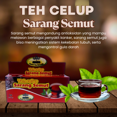 

TEH CELUP SARANG SEMUT ALIFYA 20 KANTONG | HERBAL UNTUK JANTUNG KORONER STROK KANKER DAN ALERGI