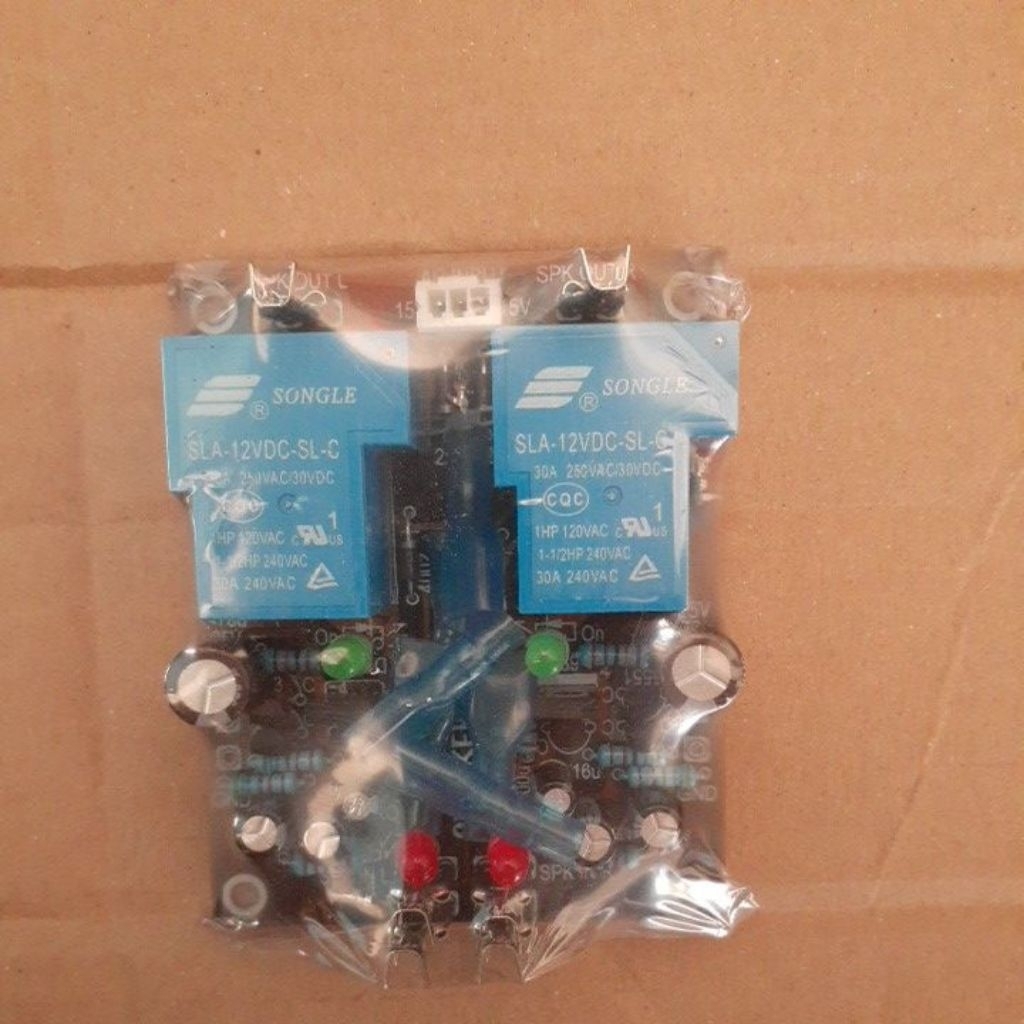 Speaker Protector Stereo