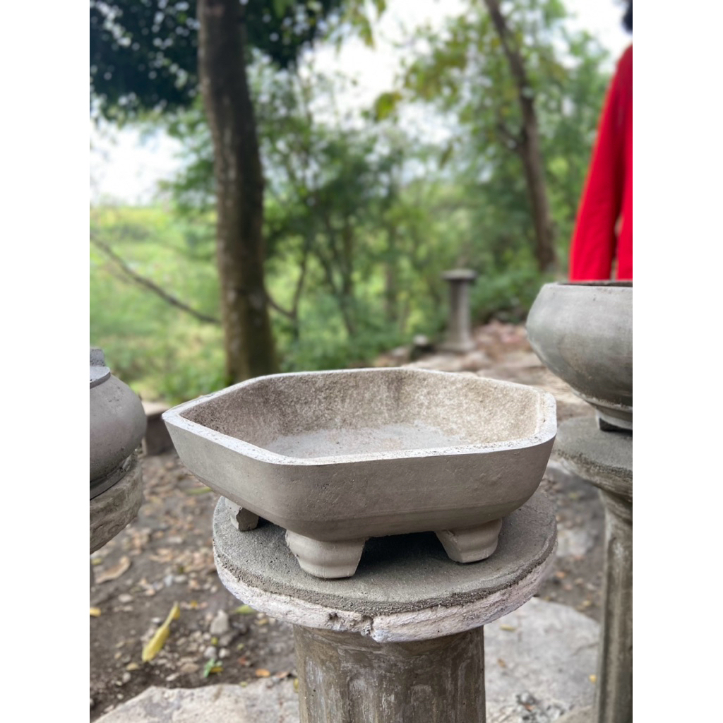 Pot Bonsai Segi Enam