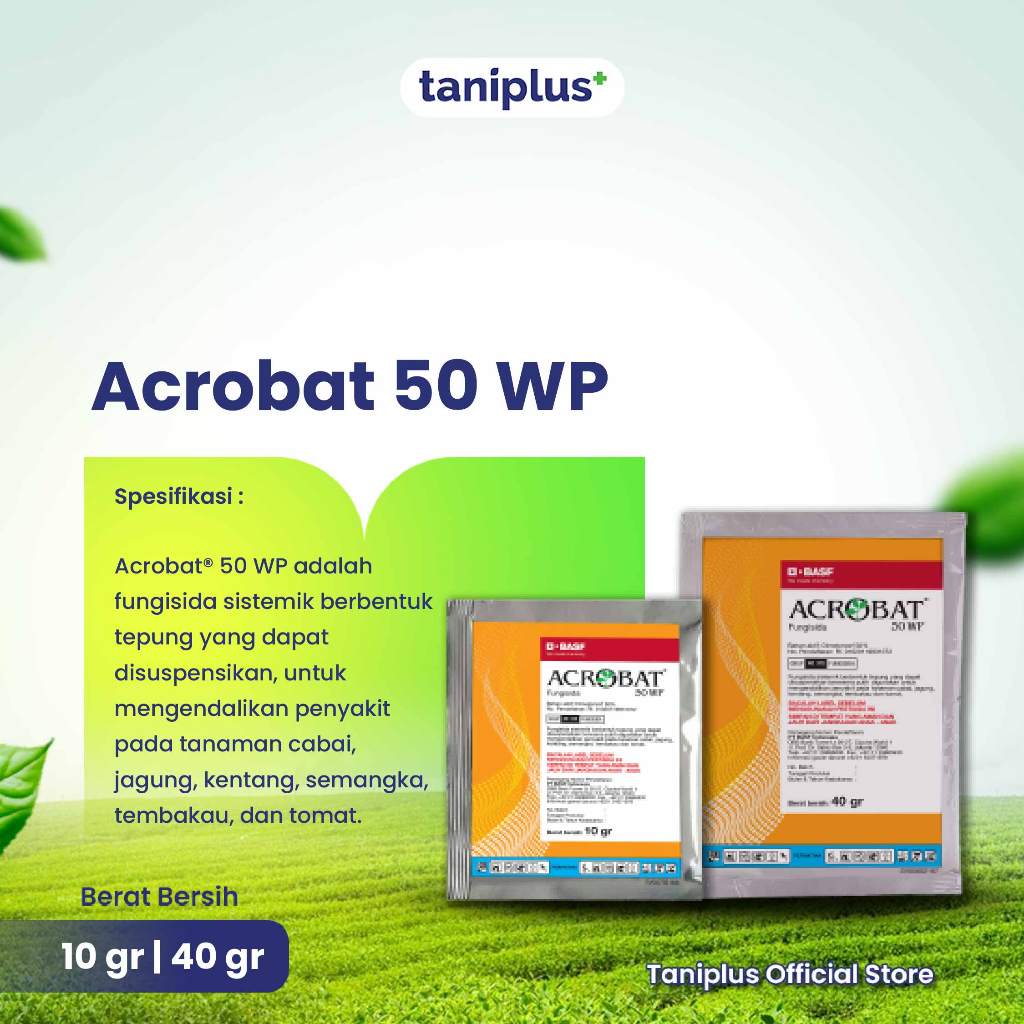 Acrobat 50 WP - Fungisida