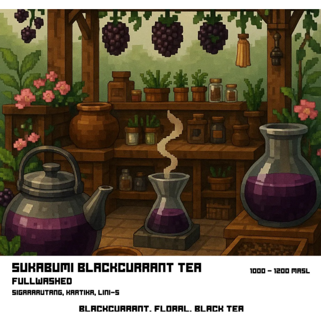 

Sukabumi Blackcurrant - Fullwashed