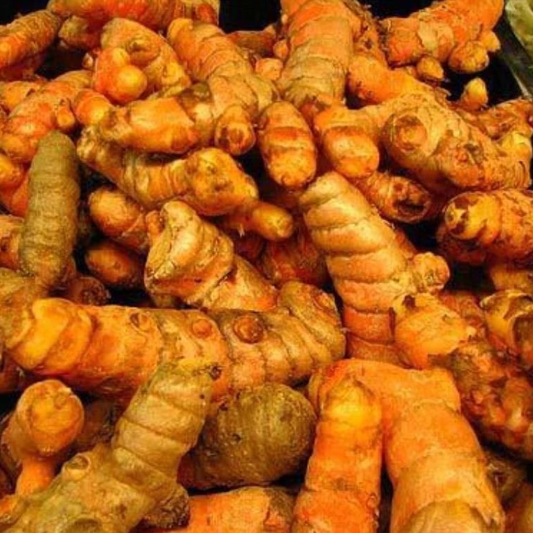 

Kunyit 1kg Kunyit Segar