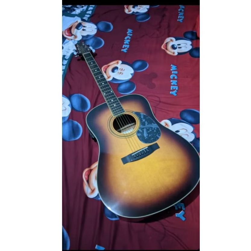 Gitar Akustik Elektrik Segovia D-07EQT-GTS