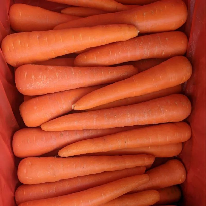 

Wortel Berastagi Impor 1kg - Fresh Imported Carrot