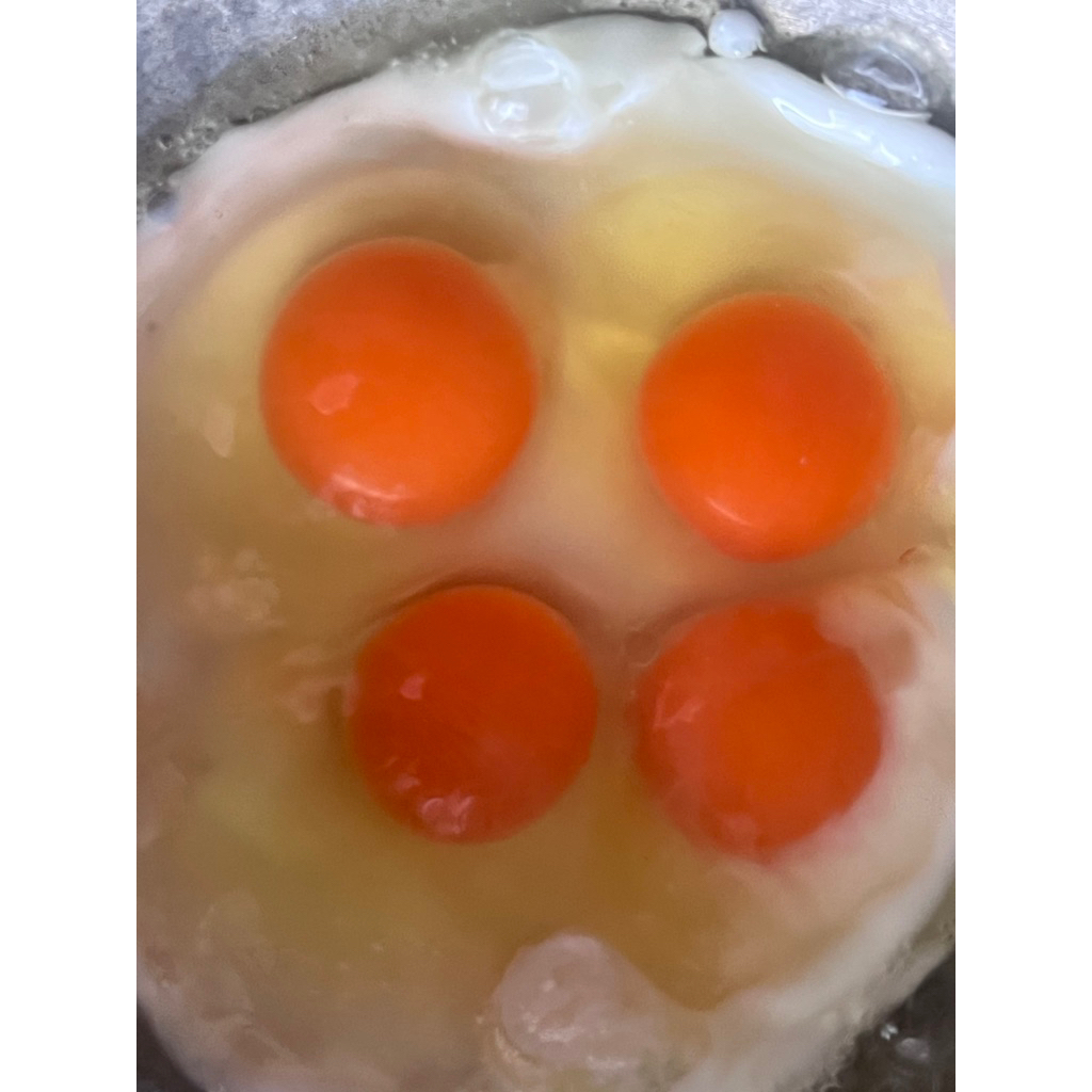 

Telur Omega Premium ” 1 Kg (FRESH)