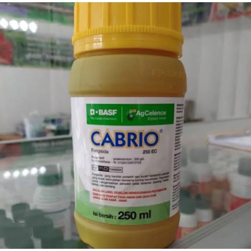 Cabrio 250 Ec 250 ml - Fungisida cabrio 250 EC