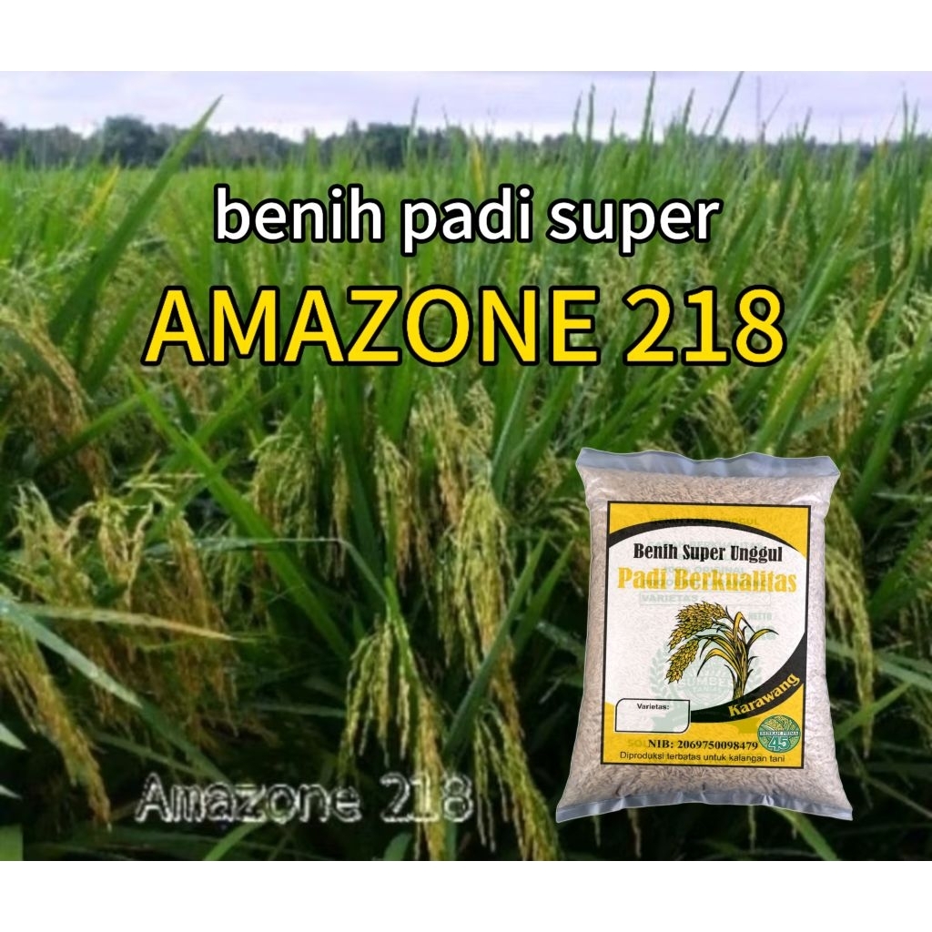 benih padi AMAZONE 218 padi super anakan terbanyak.1kg