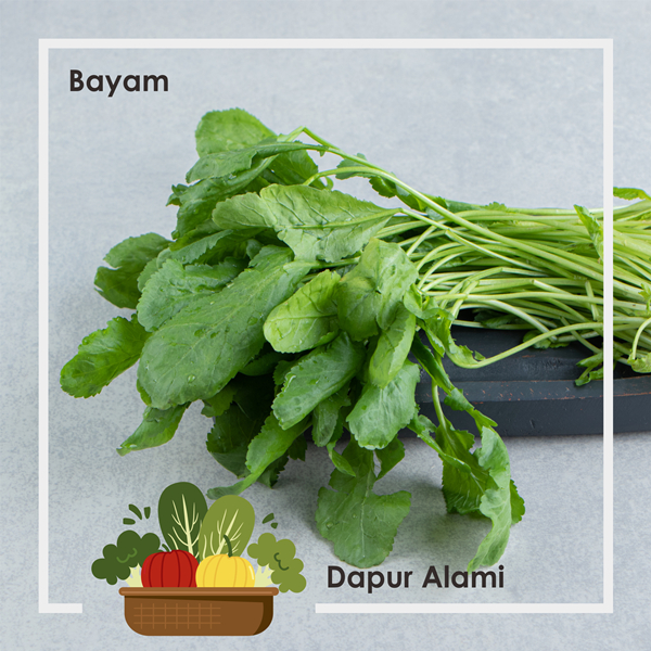 

Bayam Segar Per Ikat, Bayam Daun Kecil.