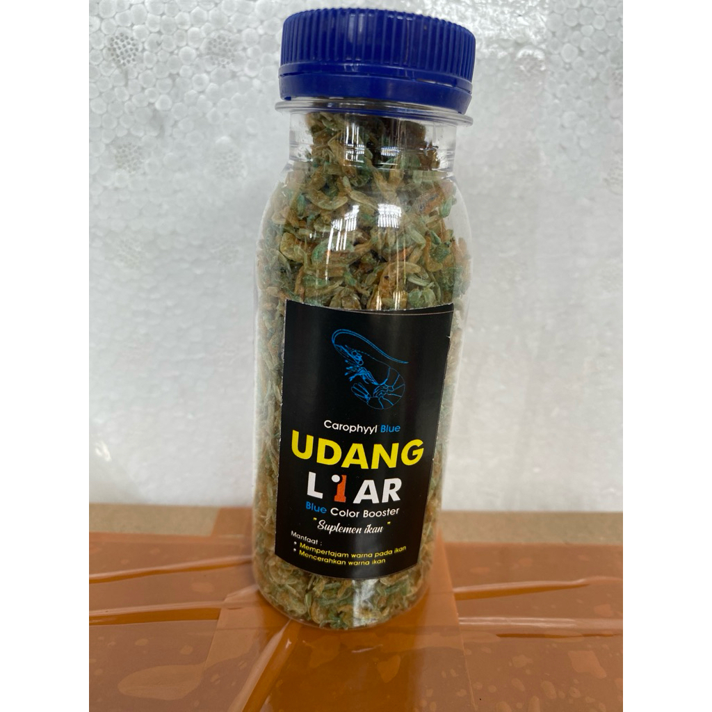 

udang blue carophil
