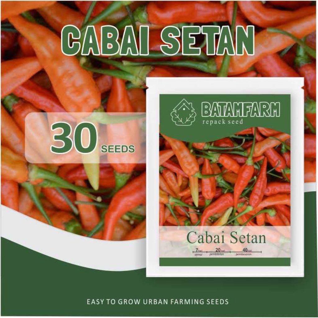 ID BENIH / BIBIT CABAI RAWIT F1 CABE SETAN