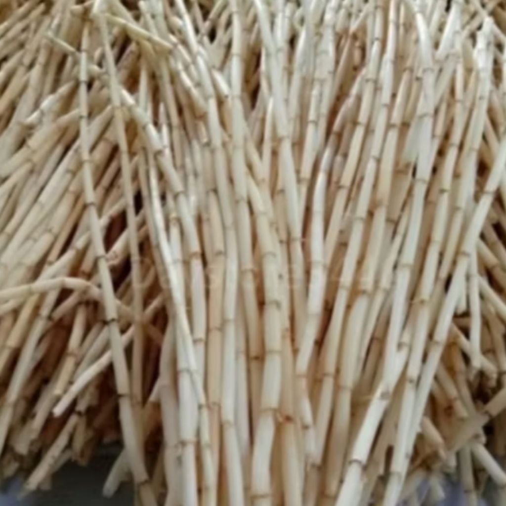 

Akar Alang - Alang Segar Herbal Alami