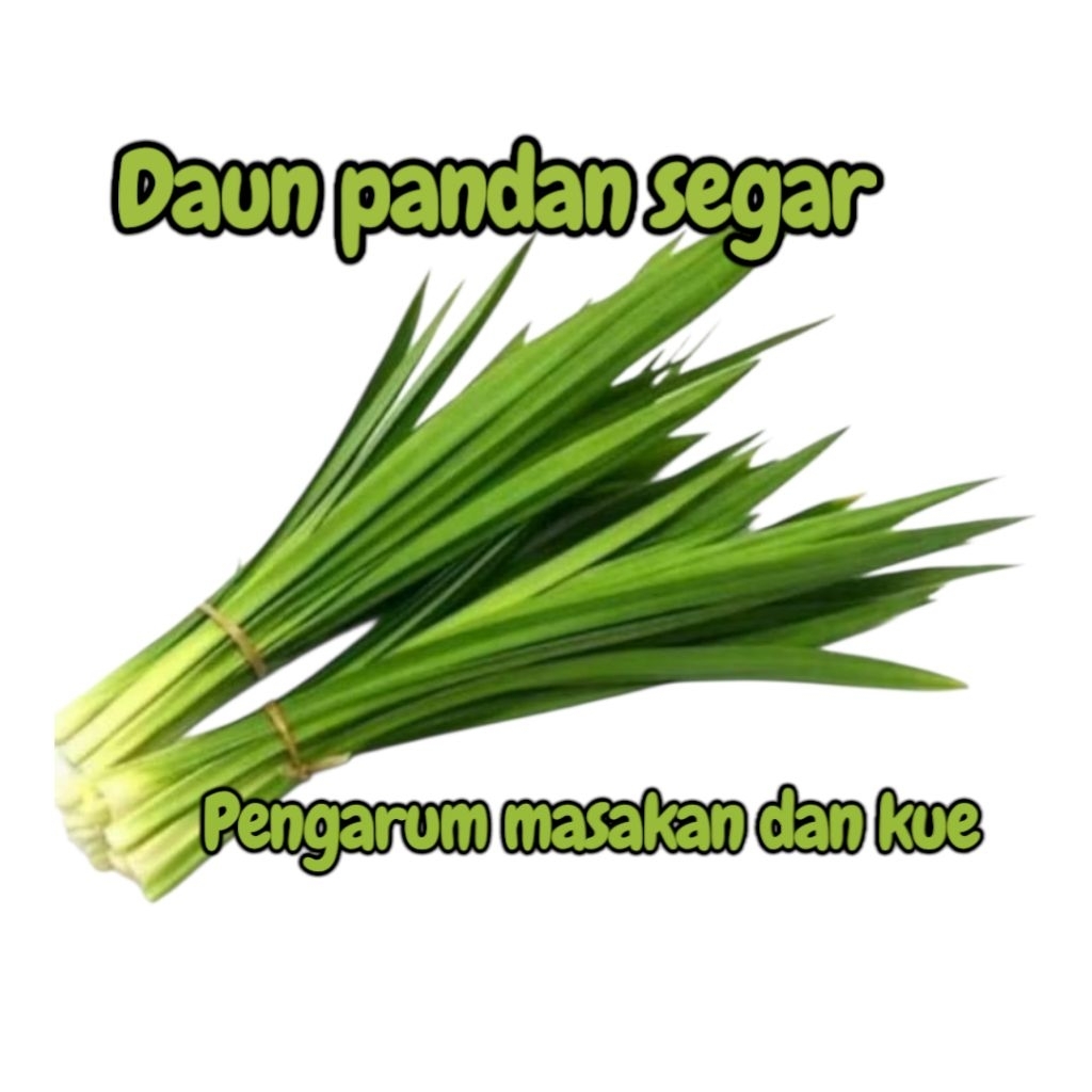 

daun pandan segar bahan pengharum makanan dan kue per10 lembar/ ujung