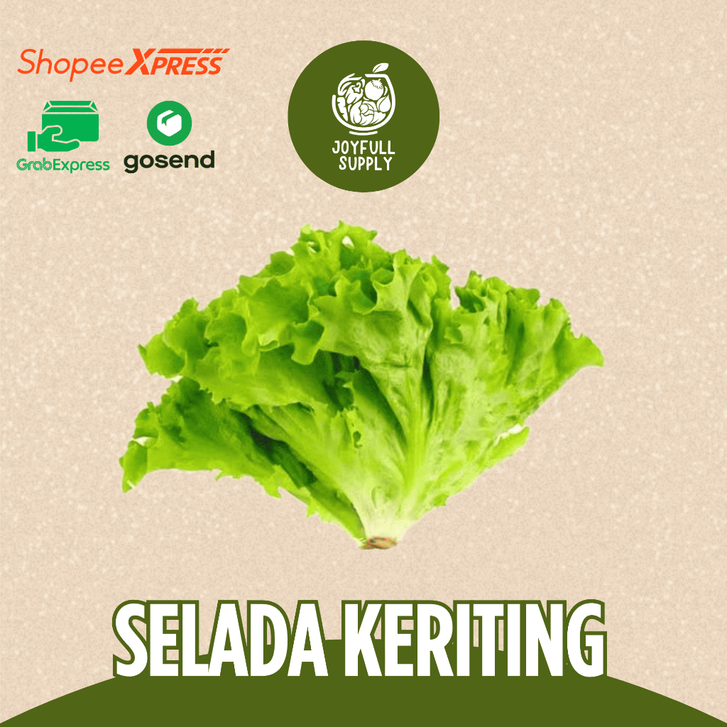 

INSTAN Selada Segar / Selada Keriting 200 gr - 1 kg - Joyfull Supply