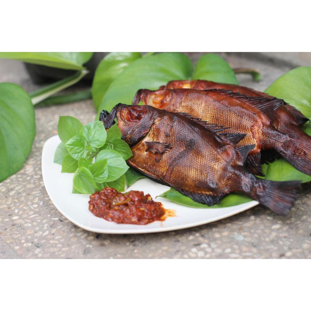 

paket 3 ekor Ikan Matabelo Keluarga kakap untuk diet tanpa minyak Gratis sambal tinggi Omega 3 Smooked fish Instan