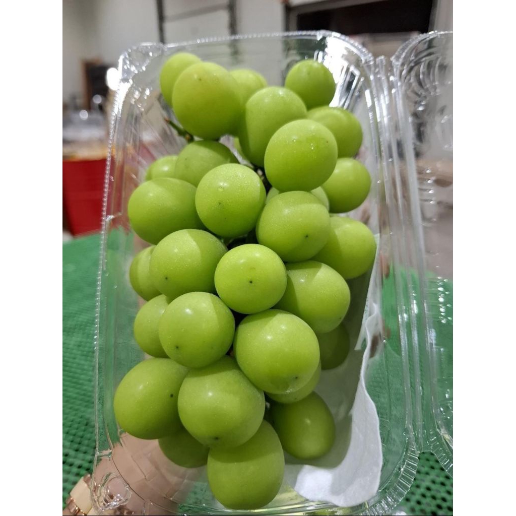 

Buah segar 1pck anggur shine Muscat 500gr buah