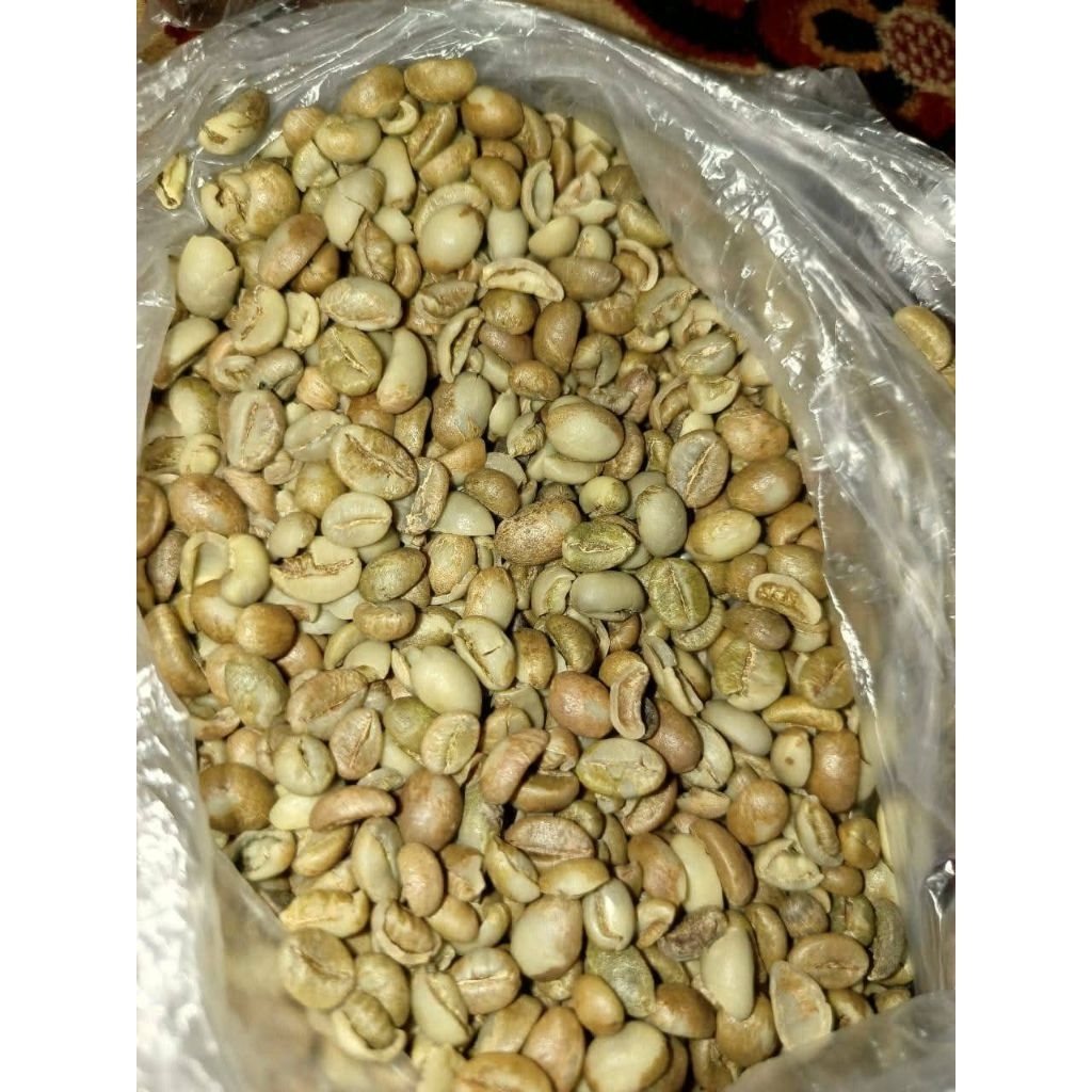 

Green Bean Kopi Mentah Robusta Kualitas Premium
