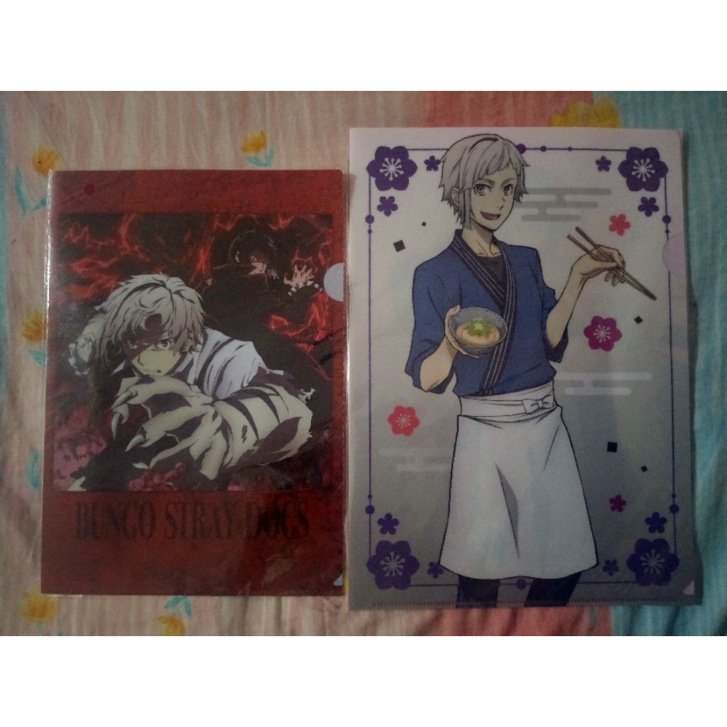 2 Clear File BSD- Atsushi (belakangnya Kyouka) & Atsushi Akutagawa