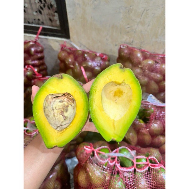 

ALPUKAT MENTEGA 1KG READY STOCK GRAD A