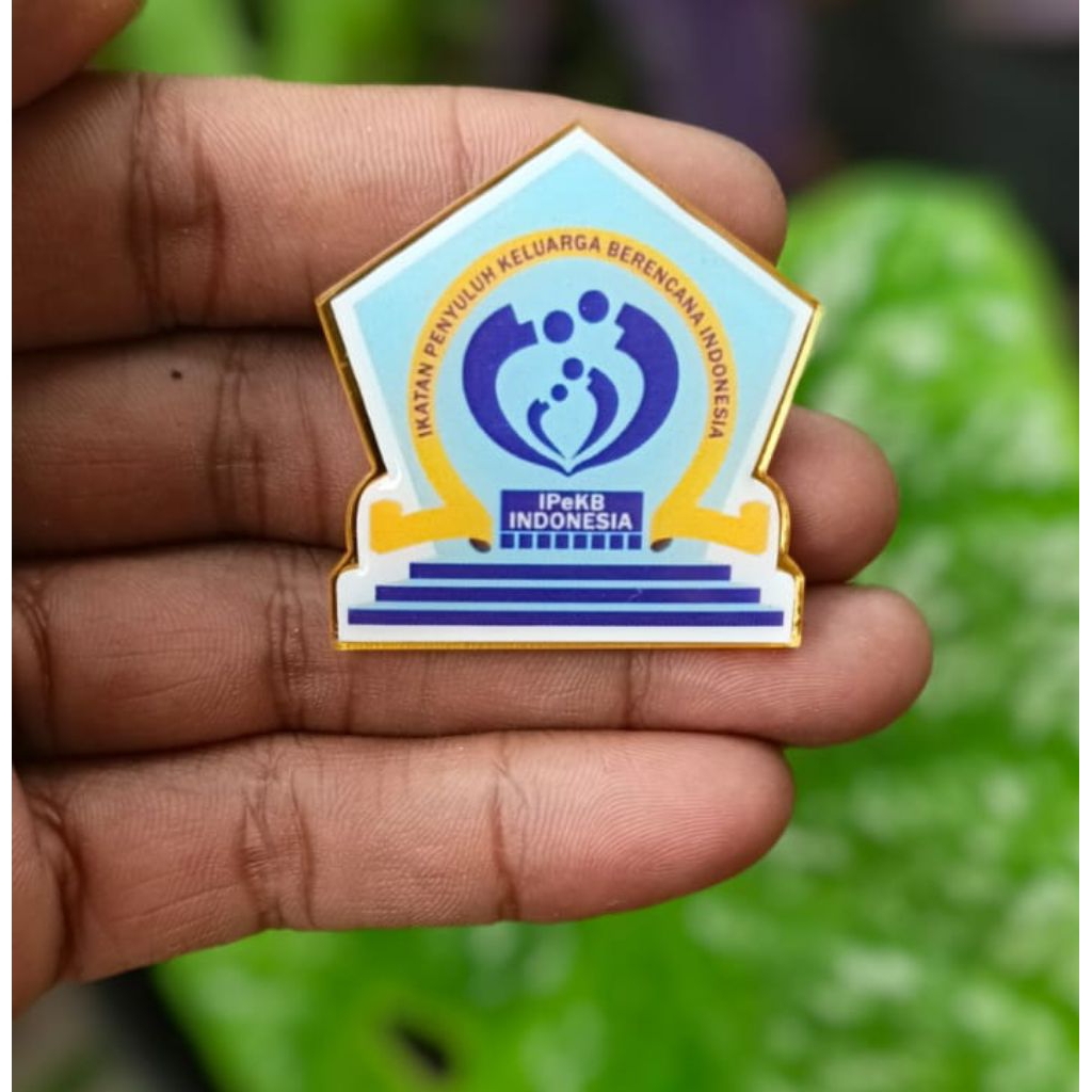 pin IPeKB BKKBN premium