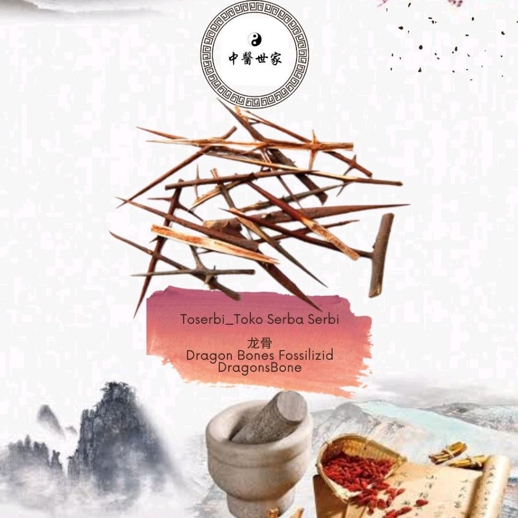 

100gr Zao Ci Gleditsia Sinensis Chinese Honeylocust Spin